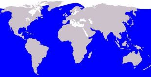 Distribución do hábitat destas baleas nos océanos do mundo